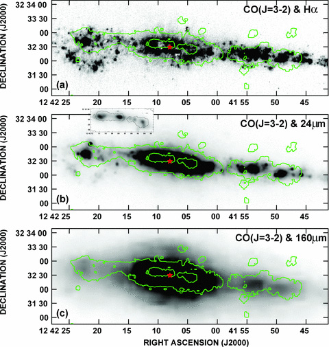 Overlays of the lowest and second highest contours of CO(J = 3–2) emission from Fig. 1 on grey-scales of (a) the Hα image, (b) the MIPS 24-μm image and (c) the MIPS 160-μm image. The grey-scale images are shown at their original resolutions which are 3.0 arcsec for the Hα image (from measurements of point sources in the field), 6 arcsec for the 24-μm image and 40 arcsec for the 160-μm image (Bendo et al. 2006). The grey-scale ranges are arbitrary and have been chosen to emphasize low to moderate intensity features. For the high contrast, high-resolution 24-μm image, we also show the central region in an inset. The star denotes the IR centre.