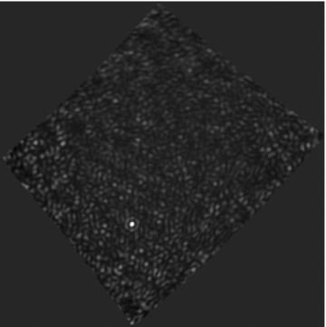 Simulated image with the 32T uv coverage integrated over 10 min. The black and white scale runs linearly between −10 and 50 Jy beam−1. The sidelobes of the dominant source (∼97 Jy) obliterate the other 15 sources between it and a 4-Jy floor.