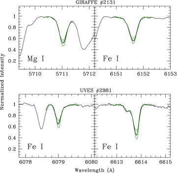 Portions of spectrum for the two observed stars #2131 (upper panels, GIRAFFE) and #2891 (lower panels, UVES) with overplotted the best fit (green, thick lines). Synthetic spectra with abundances of ±0.1 dex with respect to the best-fitting spectra are also plotted as green thin lines.