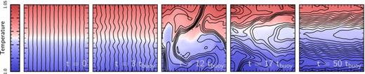 Evolution of the HBI with an initially vertical magnetic field in a local, 2D simulation (simulation h1 in Table 1). Colour shows temperature and black lines show magnetic field lines. A small velocity perturbation to the initial state seeds exponentially growing modes which dramatically reorient the magnetic field to be predominantly horizontal. The induced velocities are always highly subsonic and, after t∼ 20tbuoy, are also almost entirely horizontal. Once the plasma reaches its saturated state, it is buoyantly stable to vertical displacements. The plasma does not resist horizontal displacements, but the saturated state is nearly symmetric to these displacements and they do not change its character.