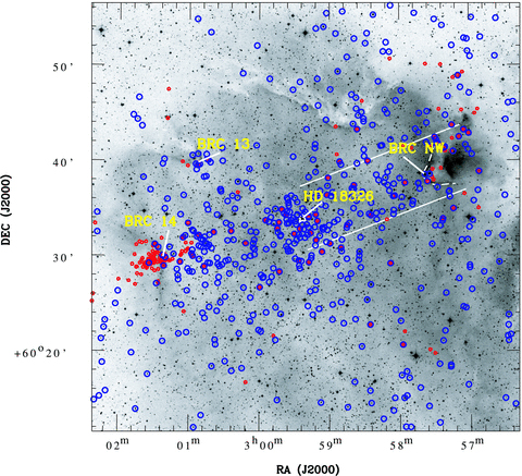 Global distribution of YSOs in the W5 E H ii region. The small red circles show the locations of NIR-excess sources, whereas the large blue circles (see the online version) show the YSOs identified using the Spitzer observations (see text).