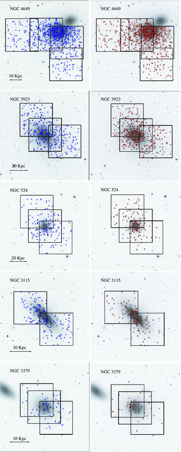 R-band images of the sample galaxies from the DSS2. Each image has a field of view of 15 × 15 arcmin2. From top to bottom, we show NGC 4649, 3923, 524, 3115 and 3379. For each galaxy, we display the red GC candidates in the right panels, and the blue GC candidates in the left panels. The GMOS fields are also depicted. North is up and east is to the left.
