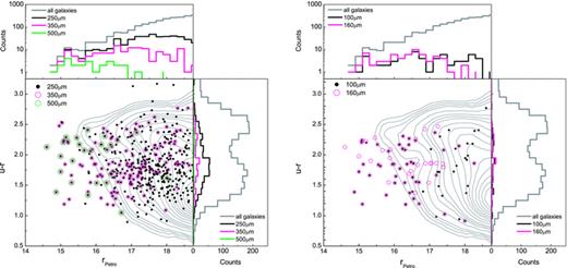Colour–magnitude diagram of optically selected galaxies (grey contour lines) and their submillimetre counterparts with Reliability≥ 0.8 detected at ≳5σ by SPIRE (left-hand panel) and PACS (right-hand panel). Horizontal and vertical histograms show the distribution of galaxy optical colour (u − r) and r-band magnitude (rPetro), respectively. Colours represent: ‘grey’ all galaxies; ‘black’ sources with SPIRE 250 (left-hand panel) and PACS 100 (right-hand panel) detections; ‘pink’ sources with SPIRE 350 (left-hand panel) and PACS 160 (right-hand panel) detections; ‘green’ sources with SPIRE 500 detections.