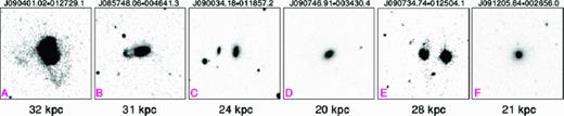 SDSS postage stamp images in the r band (70 × 70 arcsec2) of galaxies corresponding to the marked data points in Fig. 6. Images are sorted (left-to-right) according to the estimated dust temperature. The SDSS optical major isophotal diameter in the r-band (e.g. isoA-r) has been used to measure the optical linear diameter of each galaxy D25 in units of kpc as indicated on each panel.