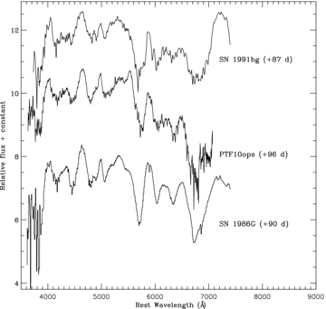 Comparison of a +96 d spectrum of PTF10ops with SNe 1991bg and 1986G. The spectra have been adjusted to their host velocities and corrected for MW extinction. The phases shown are rest frame, relative to B-band maximum.
