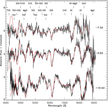 The first three photospheric phase spectra of PTF10ops (black) at −7.3, −0.6 and +10.4 d, along with their synapps fits (red). The spectra have been normalized by the continuum flux at each wavelength and the ions contributing to the major features are marked.
