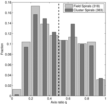 The distribution of minor-to-major axial ratio q for our field (light grey) and cluster (dark grey) spiral samples. The q cut (q > 0.5, represented by a black dashed line) ensures the selection of face-on to intermediately inclined spiral galaxies (i < 60°). Errors in q are <3 per cent. Respective sample sizes are shown in the legend.