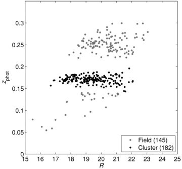 The photometric redshift estimate versus total R-band magnitude for the final field (grey points) and cluster (black points) spiral galaxy samples. The field sample reaches R ∼ 23 and the cluster sample reaches R ∼ 22. Respective sample sizes are shown in the legend.
