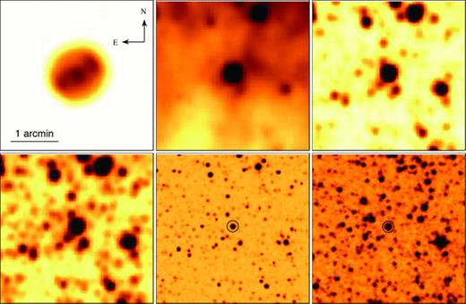 From left to right, and from top to bottom: WISE 22‐, 12‐, 4.6‐ and 3.4‐μm, 2MASS Ks‐band and DSS‐II red band images of the circular shell WS1 and its central star (marked by a circle on the 2MASS and DSS‐II images). The orientation and the scale of the images are the same.