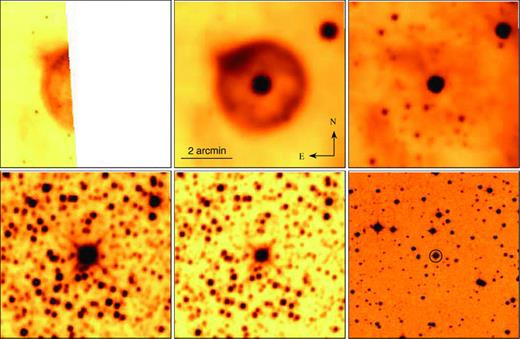 From left to right, and from top to bottom: Spitzer MIPS 24‐μm, WISE 22‐, 12‐, 4.6‐ and 3.4‐μm and DSS‐II red band images of the circular shell WS2 and its central star (marked by a circle on the DSS‐II image). The MIPS image is truncated because the MIPSGAL survey covers only a part of the shell. The orientation and the scale of the images are the same.