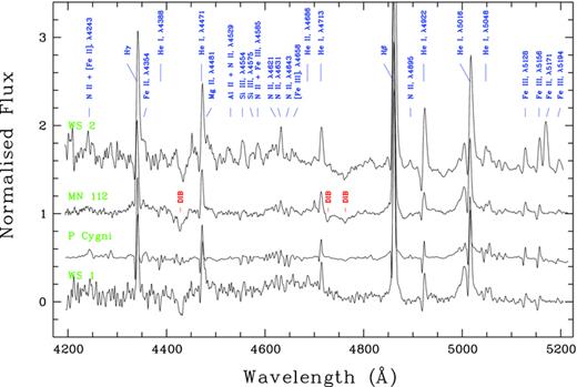 Comparison of normalized blue spectra of WS1 and WS2 with those of the prototype LBV P Cygni and cLBV MN112. The principal lines and most prominent DIBs are identified.
