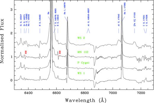 Comparison of normalized red spectra of WS1 and WS2 along with spectra of the prototype LBV P Cygni and cLBV MN112. The principal lines and most prominent DIBs are identified.