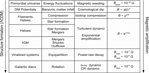 Overview of the different physical processes during structure formation. This table shows the stages of the evolution (column 1), during which an astrophysical process (column 2) triggers an MHD mechanism (column 3) operating on the magnetic field, resulting in the equations and magnetic field strength values given in column 4.