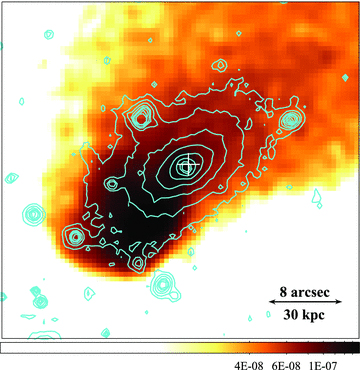 Exposure-corrected image of the subcluster core in the 0.3–7.0 keV energy band smoothed with a two-dimensional Gaussian σ= 1 arcsec (north is up and east is to the left; in units of photons cm−2 s−1 pixel−1). The blue contours were produced from the HSTF606W archival image of the galaxies (blue), including the BCG, and the white cross shows the location of the VLA 1.4-GHz point source marking the nucleus (NRAO/VLA Archive Survey).