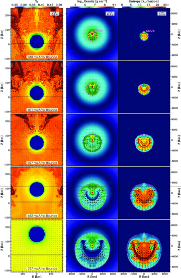 The left-hand column shows the evolution of the inner ∼200 km of the simulation domain for model L2.4. The colour map depicts the electron fraction, Ye, with velocity vectors overlaid; the black lines indicate Z= 0. The colour map for the middle column depicts density. The pink curve shows the location of the shock. Exterior to the shock, the flow is radially inward. The right-hand column panels show the entropy evolution of the explosion. The steep entropy jump just interior to the shock depicts the region where nucleons are re-associated into nuclei and α particles. At 707 ms after bounce, the PNS wind is seen as the dark blue region interior to the shock in the middle panel. The supernova explosion primarily occurs in the −Z direction, while the PNS recoils in the +Z direction. At ∼800 ms after bounce, the PNS has largely decoupled from the surrounding material, but is still being accelerated by the gravitational pull of slow-moving ejecta in the +Z direction (see Fig. 3).