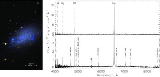 UGC 8508. Colour gri image provided by the SDSS DR8; arrow marks the LBV candidate J133049.80+545419.2 (left-hand panel). Right-hand panels show the spectra of this star in two intensity scales. The main emission lines are labelled. A colour version of this figure is available in the online version of this paper.