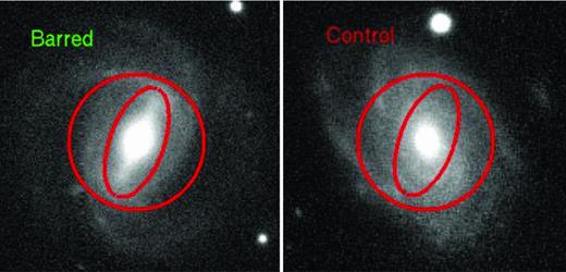 An example of a barred galaxy (left) and its matched control galaxy (right). In the left-hand panel, the inner ellipse encloses the ‘barred’ region of the galaxy (see the text). The area between the inner and outer ellipses is referred to as the pseudo-ring region. In the right-hand panel, the same inner and outer ellipses are plotted on the image of the control galaxy.