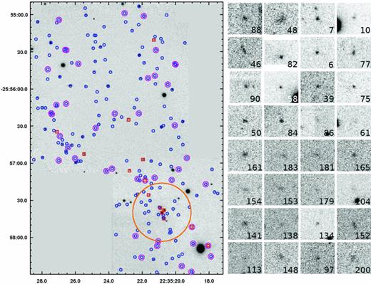 Final reduced, combined H broad-band image of XMMU2235 (left) and H narrow-band postage stamps of the 32 excess emitters (right). Left-hand panel: both pointings are combined in this figure. North is up, and east is to the left. The spectroscopically confirmed cluster members are marked with red boxes; all other detected objects are marked with blue circles. Objects additionally outlined in magenta are excess emission-line galaxies and most likely to be cluster members (see Fig. 2). The orange circle indicates the radius of 200 kpc (RQ) within which no star formation is found (see Section 3.1). Right-hand panel: the size of each cut-out is 10 arcsec, corresponding to about 85 kpc on each side. The object ID (see Table 1) is indicated in each image.