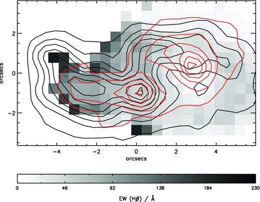Map of the equivalent width of Hβ across UM 448. Overlaid red lines are contours of Hβ-region continuum; black lines are Hβ flux contours from Fig. 2.