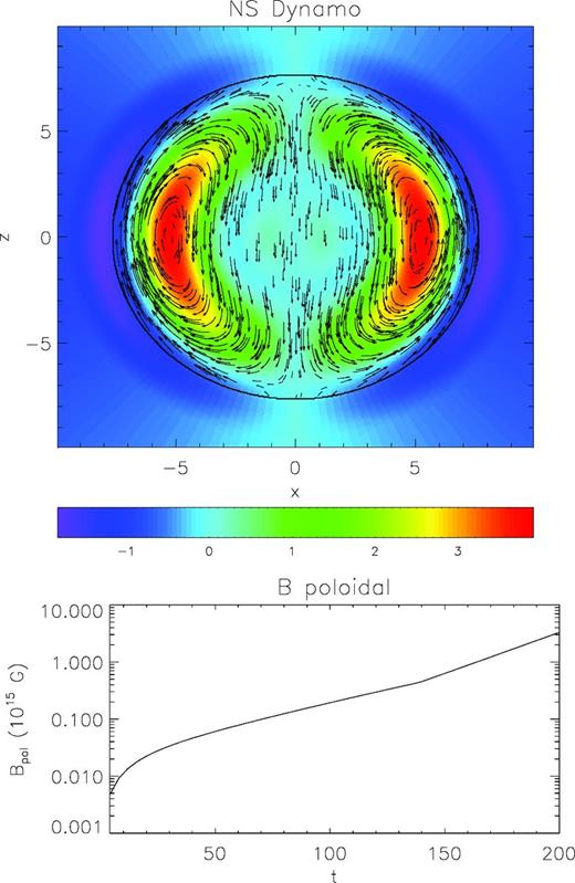 Dynamical NS dynamo. The upper-panel shows the poloidal magnetic field lines. Colours represent the value of the Bφ component of the magnetic field in units 1015 G. The thick solid line represents the surface of the NS. The lower panel shows the evolution of the maximum value of poloidal magnetic field $\sqrt{B^rB_r+B^{\theta }B_{\theta }}$ .