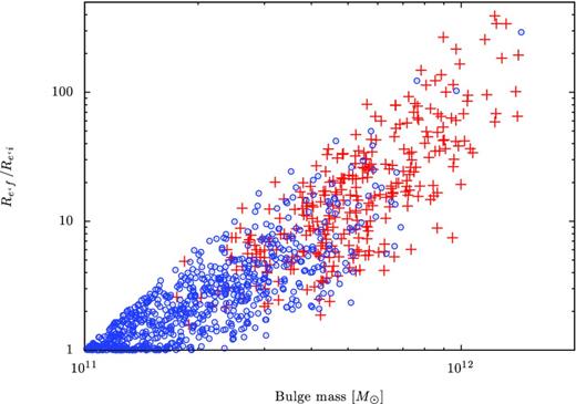 The size growth factor Re,f/Re, i ≡ (Mf/Mi)α of our sample BCGs (crosses, red in the online article) and normal ETGs (open circles, blue in the online article) derived by the Millennium Simulation Data Base, where we assume α = 2.7, which is the most efficient case in our results. The horizontal axis shows the bulge mass at z = 0. The vertical axis shows Re,f/Re, i.