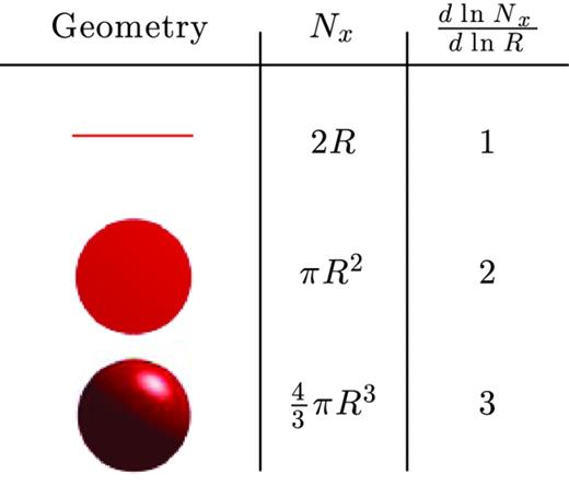 Nx is the number of data points within the radius R. Nx will be proportional to the equations for each given situation. We can see that $\frac{\mathrm{d}\ln {N_{x}}}{\mathrm{d}\ln {R}}$ will produce the correct dimension for each of these situations.