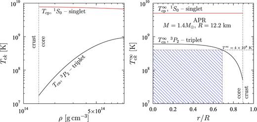 Left-hand panel: nucleon critical temperatures Tck (k = n, p) versus density ρ for model 1. Right-hand panel: redshifted critical temperatures T∞ck versus radial coordinate r (in units of R) for model 1.