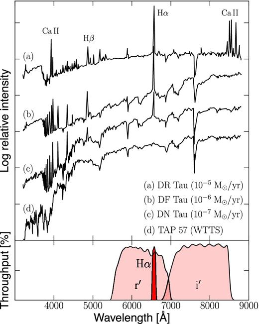 Top panel: spectra of four T Tauri stars of similar spectral type (late K) as published by Bertout (1989) shown in order of decreasing accretion rates as determined by Hartigan, Edwards & Ghandour (1995). The most notable features are (i) blue continuum excess and line veiling below ∼6000 Å; (ii) hydrogen Balmer lines in emission; (iii) Ca iiH/K and Infrared Triplet (IRT) lines in emission. The bottom spectrum is a weak-lined T Tauri star (WTTS) which does not show signs of ongoing mass accretion. Bottom panel: filter transmission curves for the IPHAS r′/Hα/i′ filters. The 2MASS J-band filter is located beyond the range of the spectra near 12 000 Å.