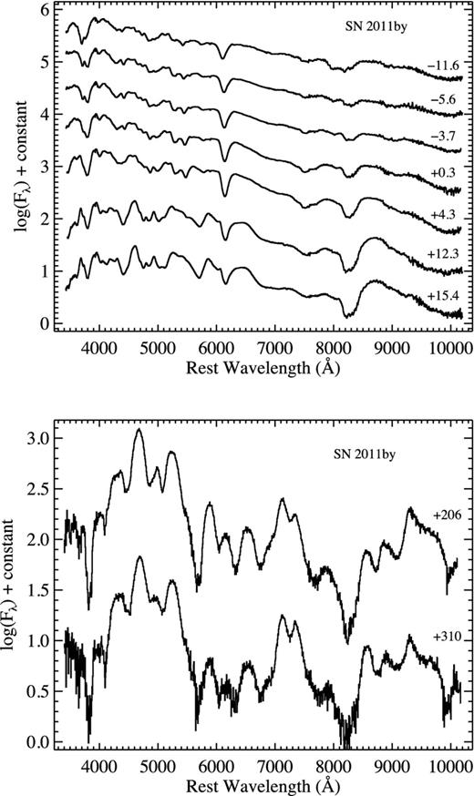 Near-maximum-brightness (top) and late-time (bottom) spectra of SN 2011by, labelled with age relative to the time of maximum brightness. The data have had their host-galaxy recession velocity removed and have been corrected for Galactic reddening.
