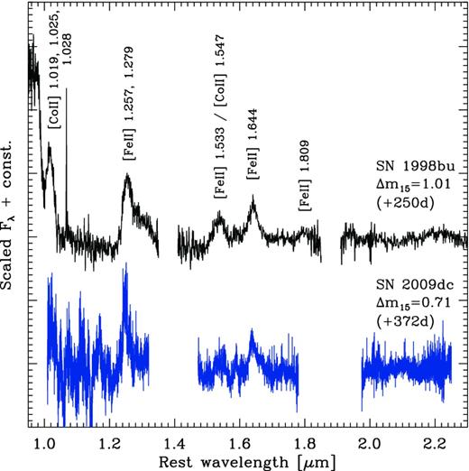 Nebular NIR spectrum of SN 2009dc, compared to the normal SN Ia 1998bu (Spyromilio et al. 2004). Phases are given in rest-frame days with respect to B-band maximum. The spectrum of SN 2009dc has been smoothed by 2000 km s−1, and regions with strong telluric features are omitted.