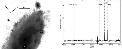 Left: the FORS2 g′-band acquisition image of ESO 306−003 with the 1.3 arcsec radius (90 per cent confidence) error circle around the position of the ULX candidate. Right: the FORS2 spectrum of the candidate optical counterpart to the X-ray source. Several emission lines, redshifted by z = 0.016, are marked.