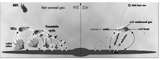 Scheme of the framework considered in this work. Galactic fountain clouds are ejected from the disc and travel through the halo. The azimuthal motion of the clouds is not shown. Hydrodynamical interactions between clouds and coronal material trigger the cooling of the latter inside the warm–hot turbulent wakes. This fountain cycle produces a multiphase medium located within a few kiloparsec above the disc. An observer looking towards a background source and intercepting a warm–hot wake detects absorption lines of ionized material. An observer looking towards a cold front detects H i emission from an IVC.