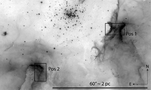 HST/WFC3-UVIS F656N (Hα+continuum) image of NGC 3603 showing the two ARGUS IFU pointings. The grey-scale colour map is inverted and square-root scaled.