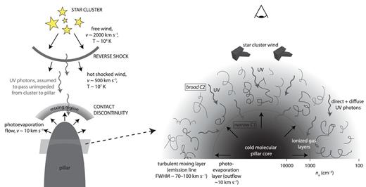 Schematic representation of our interpretation of the pillar and its structure. The left-hand panel shows a top-down view of the location of the pillar with respect to the star cluster, showing the cluster wind properties and shock locations, the mixing region and the photoevaporation layer. The right-hand panel shows a cross-section through the pillar showing the different temperature, density, outflow and turbulent mixing layers.