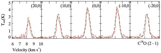 B335: C18O (J = 2-1) line profiles – observed (solid line) and modelled (dashed line). The offset between cells is 10 arcsec.
