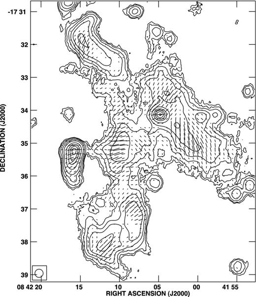 Contour image of the diffuse radio source (total intensity). The HPBW is 15 arcsec; levels are 0.03, 0.05, 0.1, 0.2, 0.4, 1, 2, 3, 4 and 5 mJy beam−1. Overimposed are vectors oriented as the polarization angle, with a length proportional to the polarized intensity: 1 arcsec = 1.25 × 10−5 Jy beam−1.