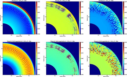 Top: density normalized to equilibrium value at z ∼ 10 m at different times. Bottom: magnetic field magnitude normalized to equilibrium value at z ∼ 10 m. At the initial phases the density settles in stationary pockets of low-field regions, which starts to spread at later times.