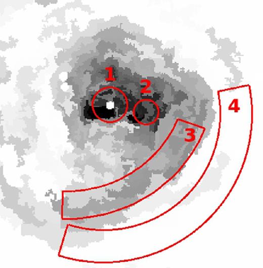 Regions 1–4 where the X-ray spectra has been extracted and a multitemperature gas is fitted to the data. The point source in region 1 has been removed. The results of the single-temperature and two-temperature fits are given in Table 3.