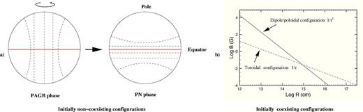 Sketches illustrating the possible evolutionary scenarios of the magnetic field in evolved stars. On the left, we show the full change in magnetic configuration, i.e. from a dipole/poloidal to a toroidal (via rotation). The dashed lines indicate the magnetic field lines. Detailed toroidal, dipole and quadrupole magnetic field geometries (from modelling) have also been presented by Padovani et al. (2012) and by Matt et al. (2000). On the right, we present an adaptation of the graphic by Vlemmings (2011) showing the variation of the magnetic field strength in function of the stellar radius and according to the magnetic field configuration (i.e. dipole/polar and toroidal). Assuming that both configurations co-exist from the beginning, it is clear that the dipole field will disappear first and faster, leaving a dominant toroidal field.