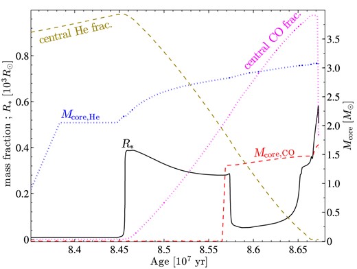 Post-accretion evolution of a 10 M⊙ secondary star. The CE phase will occur either in the first jump in radius, when the giant develops a He core, or at the second rise, when the giant has a CO core.