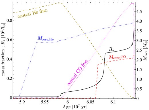 Like Fig. 4, but for the post-accretion of the 12 M⊙ secondary star. The CE phase will occur either in the first significant jump in radius, when the giant develops a HeCO core, or at the second rise, when the giant has a CO core.