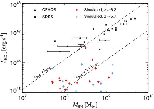 The bolometric luminosity of all black holes with masses MBH > 107 M⊙ in our six overdense regions at z = 6.2 (red diamonds) and at z = 5.7 (blue diamonds) as a function of the black hole mass. Observational data was taken from Willott et al. (2010) (CFHQS, triangles) and De Rosa et al. (2011) (SDSS, squares). At z = 6.2, accretion on to the massive black holes shown in this plot is limited by thermal AGN feedback and therefore proceeds in short Eddington bursts, followed by more quiescent accretion periods. Thus, at any given time at this redshift, only a small fraction of QSOs will be at their luminosity peak and bright enough to have been detected in published surveys. Error bars are included when provided in the literature.