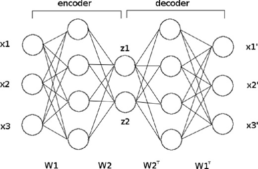 Schematic diagram of an autoencoder. The three input values are encoded to two feature variables. Pre-training (described in Section 3.3) defines the weight matrices W1 and W2.