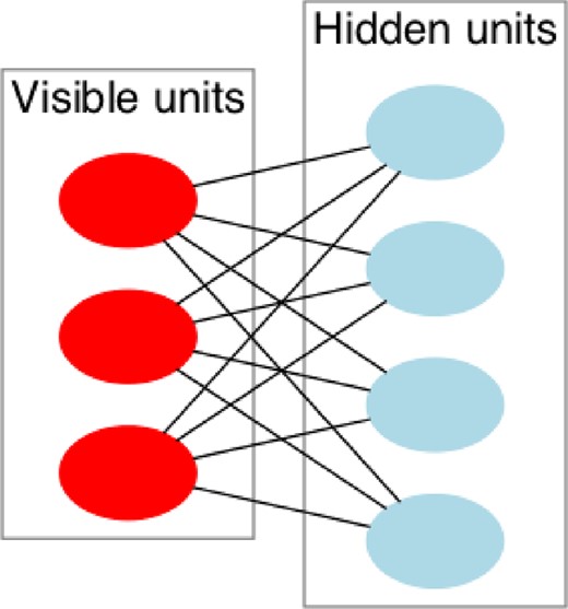 Diagram of an RBM with 3 visible nodes and 4 hidden nodes. Bias nodes are not shown. Image courtesy Wikimedia Commons.