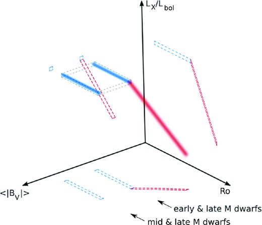 The activity relation is a complex function of many variables, such as age, mass, rotation and magnetism. Here we present a sketch in the three-dimensional space of {〈|BV|〉, Ro, LX/Lbol}, presenting a possible interpretation of how these quantities are related to each other (blue and red stripes). Figs 4 (〈|BV|〉 versus Ro) and 6 (LX/Lbol versus 〈|BV|〉) are projections of this multidimensional distribution, as is the well-known relation between LX/Lbol and Ro. These three projections are illustrated by dashed lines. The saturation plateaus seen in the projections form a saturation ‘plane’ (grey rectangular box) in the three-dimensional view, where objects of different masses are located at different regions (blue stripes).