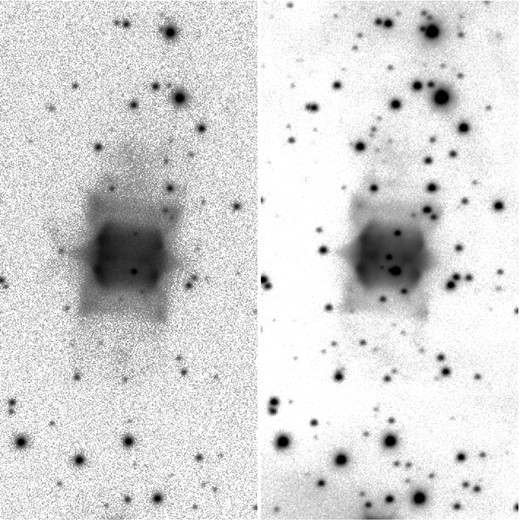 NOT [O iii] (left) and Hα+[N ii] (right) images of IPHASXJ211420.0+434136. The field of view in each panel is 1 × 2 arcmin2. North is up, east is left. Grey-scale display is in a logarithmic scale. The central star is the faint one at the symmetry centre of the nebula in the Hα+[N ii] image.