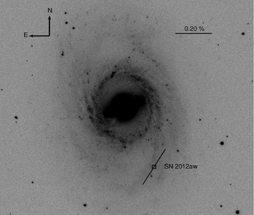 SDSSg-band image (7.7 arcmin × 7.2 arcmin) of the SN field containing the galaxy M95. A vector with a degree of polarization 0.23 per cent and position angle of 147° is drawn at the location of SN 2012aw (see text in Section 3.2 for details). A vector with a 0.20 per cent polarization and PA of 90° is shown for a reference (top right). The approximate orientation of the magnetic field at the location of SN has been determined on the basis of structure of the spiral arm (see Section 3.2 for more details). The location of the SN is represented by a square symbol. North is up and east is to left as shown in the figure.