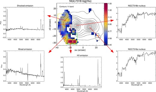 Stacked spectra, obtained with pingsoft, from several key regions of NGC 7318A/B. The H ii regions are delimited with black lines in the map. Yellow, red, and green squares are Iglesias-Páramo et al. (2012) pointings, overplotted for comparison. Fluxes are expressed in units of 10−16 erg s−1 cm−2. (The prominent feature observed in some spectra at ∼5500 Å is the O i λ5577 sky emission line, the most visible at Calar Alto.)