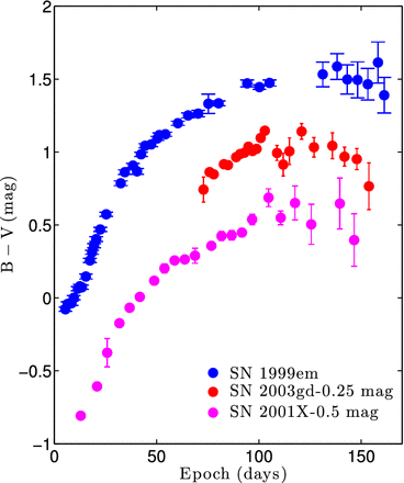 SNe for which we have post-plateau measurements exhibit a phase of rising B − V colour after the end of the plateau. This behaviour was predicted by Chieffi et al. (2003), and it might be the result of the rising helium abundance in the photosphere, which decreases the recombination temperature and causes a more rapid release of energy.