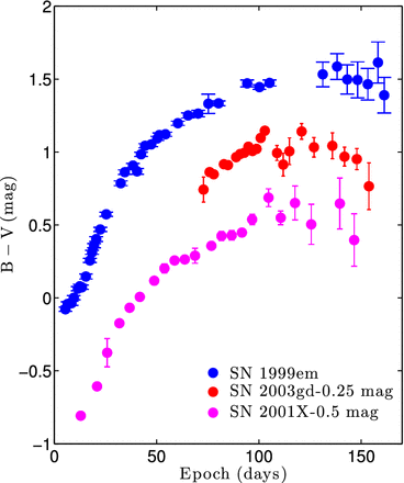 SNe for which we have post-plateau measurements exhibit a phase of rising B − V colour after the end of the plateau. This behaviour was predicted by Chieffi et al. (2003), and it might be the result of the rising helium abundance in the photosphere, which decreases the recombination temperature and causes a more rapid release of energy.